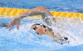 World aquatics championships