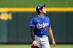 Baseball:Shohei Ohtani