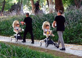 China Parenting Subsidy System