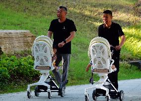 China Parenting Subsidy System