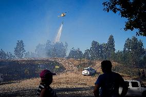 Situation 2 Declared for Active Fire in Salvaterra do Mino - Spain