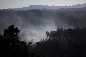 Situation 2 Declared for Active Fire in Salvaterra do Mino - Spain
