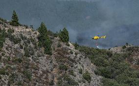 Fire Outbreak in El Tanque Troops Mobilized - Spain