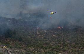Fire Outbreak in El Tanque Troops Mobilized - Spain