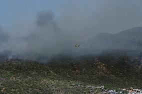 Fire Outbreak in El Tanque Troops Mobilized - Spain