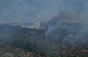 Fire Outbreak in El Tanque Troops Mobilized - Spain