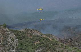 Fire Outbreak in El Tanque Troops Mobilized - Spain