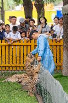 International Tiger Day - China