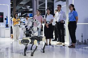 2025 World AI Conference - China