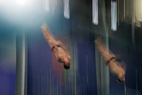 Singapore World Aquatics Championships