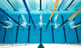 Singapore World Aquatics Championships