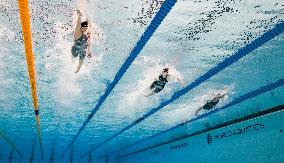 Singapore World Aquatics Championships