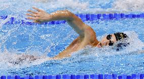 World aquatics championships: Swimming