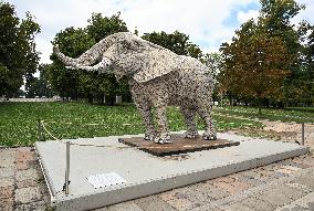 Triennale Milano - The Namibian Elephant Sculpture - Italy