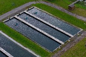 Forkala Fish Farming