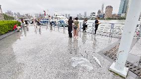 Typhoon Co-may Hit Shanghai