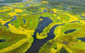 Naoli River National Natural Reserve - China
