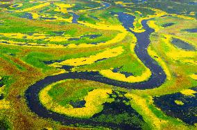 Naoli River National Natural Reserve - China