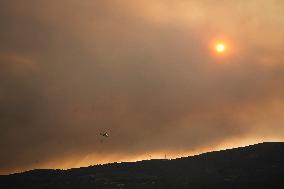 A Caniza Fire Burns 100 Hectares - Spain