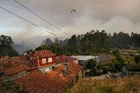 A Caniza Fire Burns 100 Hectares - Spain
