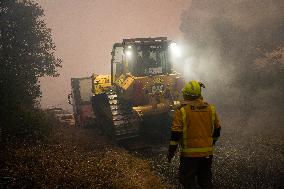 A Caniza Fire Burns 100 Hectares - Spain