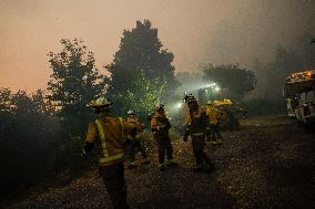 A Caniza Fire Burns 100 Hectares - Spain