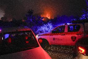 A Caniza Fire Burns 100 Hectares - Spain