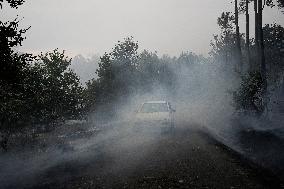 A Caniza Fire Burns 100 Hectares - Spain
