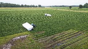 Farmers struggling due to rainy summer