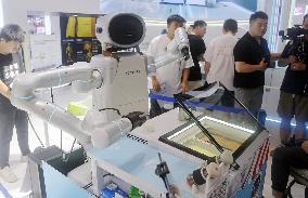 Robot Performance at 2025 WAIC in Shanghai