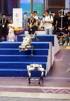 Robot Performance at 2025 WAIC in Shanghai