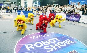 Robot Performance at 2025 WAIC in Shanghai
