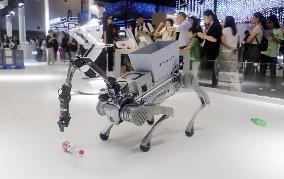 Robot Performance at 2025 WAIC in Shanghai