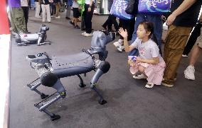 Robot Performance at 2025 WAIC in Shanghai