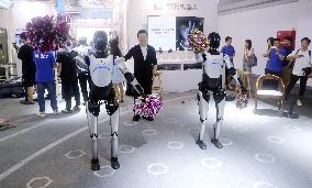Robot Performance at 2025 WAIC in Shanghai