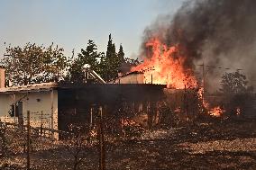 Wildfires Rage in Greece’s Numerous Regions
