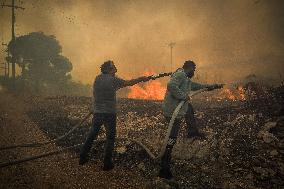 Wildfires Rage in Greece’s Numerous Regions