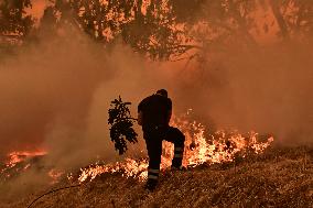 Wildfires Rage in Greece’s Numerous Regions