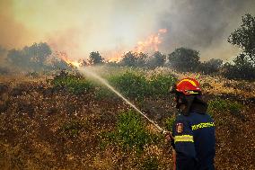 Wildfires Rage in Greece’s Numerous Regions