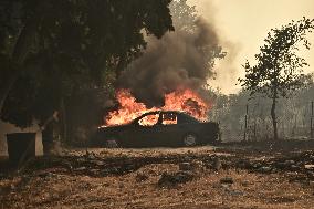 Wildfires Rage in Greece’s Numerous Regions