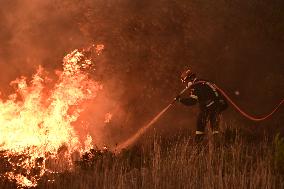 Wildfires Rage in Greece’s Numerous Regions