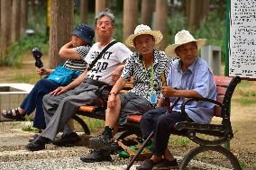 Chinese Elderly Society