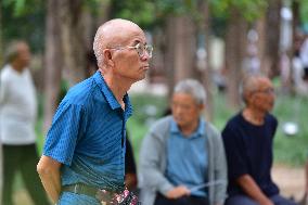 Chinese Elderly Society
