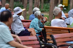 Chinese Elderly Society