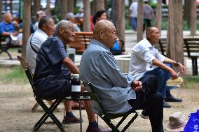 Chinese Elderly Society