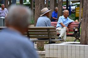 Chinese Elderly Society