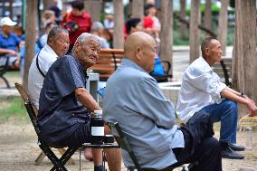 Chinese Elderly Society