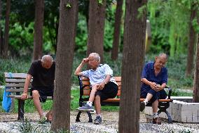 Chinese Elderly Society