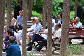 Chinese Elderly Society