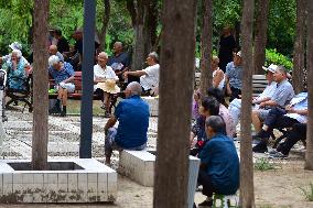 Chinese Elderly Society